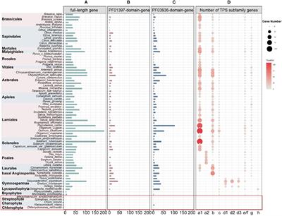 Unraveling the evolutionary dynamics of the TPS gene family in land plants